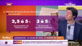 Assurances: le calme en 2023, la tempête en 2024?