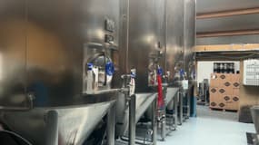Le houblon américain est plebiscité par une grande partie des brasseurs pour apporter une saveur fruitée aux bières.