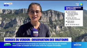 Passion Provence: observer les vautours dans les gorges du verdon et déguster un kebab à la joliette