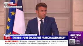 Emmanuel Macron: "Nous devons absolument nous mettre en situation de produire plus vite des sources alternatives d'électricité"