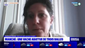 Vache abattue par balles dans la Manche: la maire de Saint-Sauveur-Villages appelle à la "vigilance"