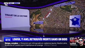 Disparition de Louise en Essonne: le point sur l'enquête