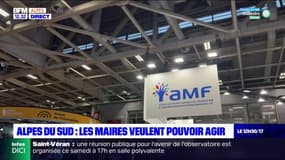 Congrès des maires: les maires des Alpes du Sud veulent agir