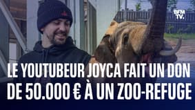 Le youtubeur Joyca fait un don de 50.000 € pour sauver un zoo-refuge