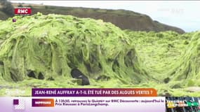 Jean-René Auffray a-t-il été tué par des algues vertes? 