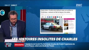 Après avoir volé une voiture avec un enfant à l'intérieur, il fait demi-tour pour accuser la mère de l'avoir laissé seul