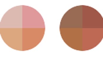 Palette de couleurs Palette de couleurs