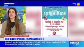 Var: nos idées de sorties pendant les vacances de fin d'année
