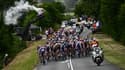 Le peloton du Tour de France, à Moulins le 12 juillet 2023