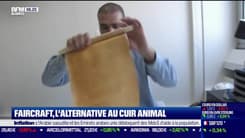 La France qui bouge : Faircraft, l'alternative au cuir animal, par Justine Vassogne - 05/07