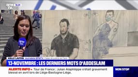 13-Novembre: "J'ai fait des erreurs, mais je ne suis pas un assassin" estime Salah Abdelslam