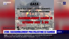 Lyon: un rassemblement pro-palestinien organisé samedi