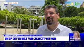 Des associations s'opposent au projet d'organisation du Grand Prix de Formule 1 à Nice