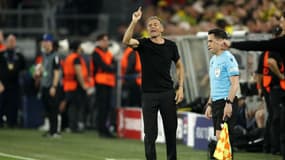 Luis Enrique lors de Dortmund-PSG (1-0, demie aller de Ligue des champions), le 1er mai 2024