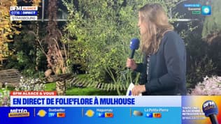 BFM Alsace et vous: en direct depuis Folie'Flore à Mulhouse