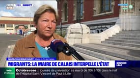 Migrants: la maire de Calais Natacha Bouchart interpelle l'État