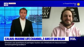 Calais: un bilan positif pour l'ONG Marine Life Channel