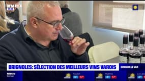 Brignoles: 260 professionnels du monde viticole jugent les meilleurs vins varois