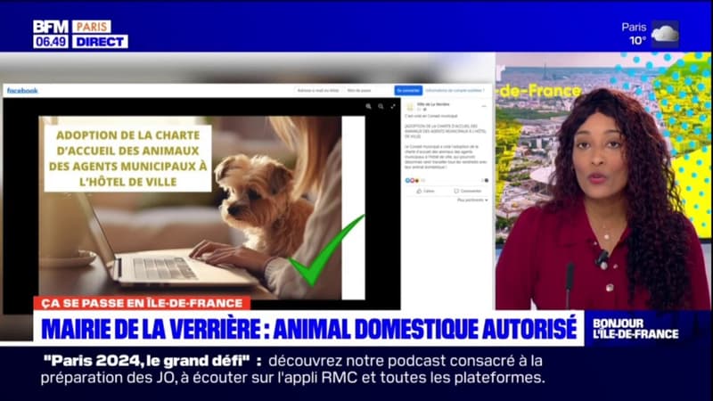 Yvelines: les agents municipaux de La Verrière peuvent venir travailler avec leurs animaux de compagnie 