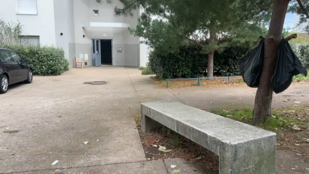 placeholder video