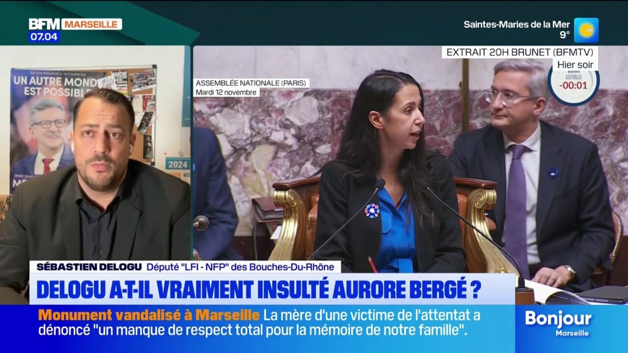 Politique: Sébastien Delogu accusé d'avoir insulté Aurore Bergé