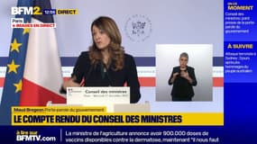 La porte-parole du gouvernement "apporte tout son soutien" au maire de Chessy