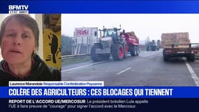 Colère des agriculteurs: "J'ai envie de dire au gouvernement, abattez le Mercosur, mais pas nos vaches", déclare Laurence Marandola, responsable Confédération Paysanne
