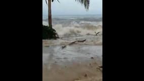 L'arrivée du tsunami qui a touché les îles Tonga, samedi 15 janvier 2022