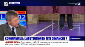 Abstention aux municipales: "Ce serait étonnant que seul le rite électoral ne soit pas affecté par le coronavirus", affirme le politologue Stéphane Rozès