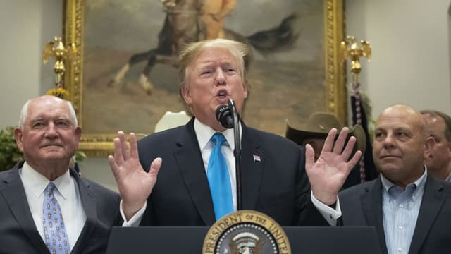 Donald Trump dit être un "génie extrêmement stable", le 23 mai 2019 à la Maison Blanche.