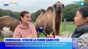 Balades Normandes du samedi 19 octobre 2024