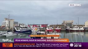 Pêche interdite / Golfe de Gascogne, quelles conséquences ?