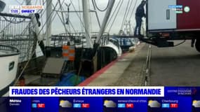 Normandie: une vidéo lève le voile les pratiques frauduleuses de pêcheurs étrangers