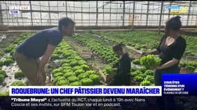 Var: un chef pâtissier se reconverti en maraîcher bio