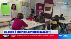 Val-de-Marne; un arbre à défis sur la notion de laïcité