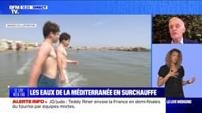 Méditerranée : des températures anormalement élevées - 03/08
