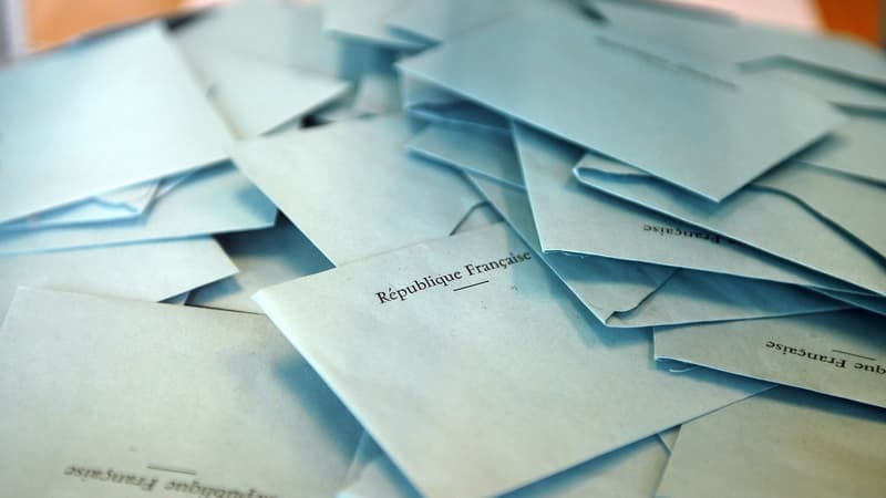 Présidentielle: quatre candidats officiellement en lice pour la primaire écologiste