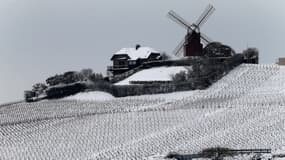 Les vignes de la région Champagne sous la neige, le 19 mars 2018. 