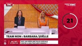 Doit-on créer une police spéciale contre la maltraitance animale ?L'argumentaire de Barbara Lefebvre, team OUI 