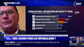 "La marque LR est un peu morte mais ça ne veut pas dire que les idées que nous représentons soient mortes", affirme Philippe Gosselin, député sortant LR