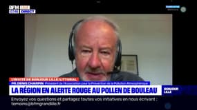 Allerte au pollen dans le Nord et le Pas-de-Calais: le président de l’association pour la prévention de la pollution atmosphérique donne des conseils pour faire face