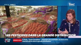 Dupin Quotidien : Les pesticides dans la grande distribution - 17/12