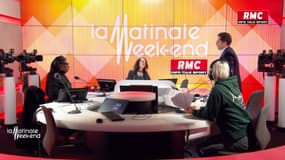 Le RN en tête des intentions de vote aux Européennes: "Ils sont une vaste blague au Parlement européen", juge le député Pieyre-Alexandre Anglade 