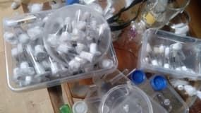 Capture d'écran du compte Facebook du Kenya Wildlife Service. Sur l'image, on aperçoit plusieurs dizaines de tubes à essais en plastique dans lesquels se trouvent des fourmis.