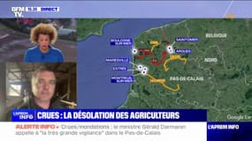 "On a quasiment tout perdu": un éleveur de moutons du Pas-de-Calais témoigne des ravages des inondations pour son exploitation