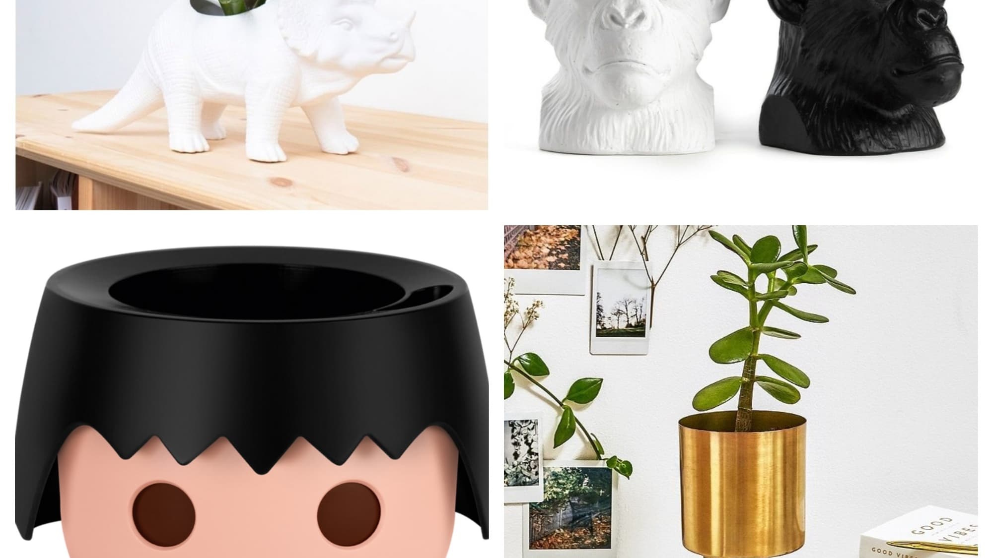 Des cache-pots originaux