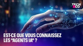Est-ce que vous connaissez les "agents IA"?