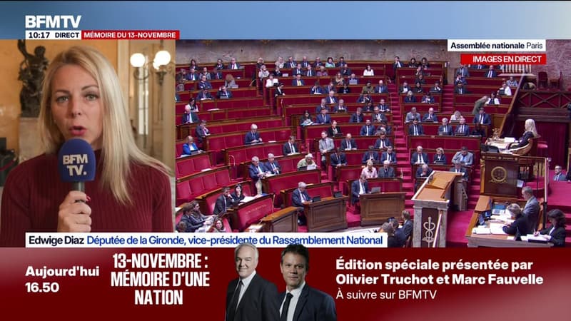"Le gouvernement n'en a pas terminé avec la traque fiscale vis-à-vis de ceux qui travaillent", dénonce Edwige Diaz (RN)