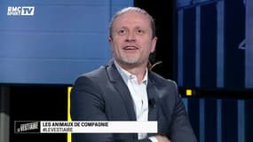 Le Vestiaire - Avec son petit chien, Manu Petit "c'est Paris Hilton"