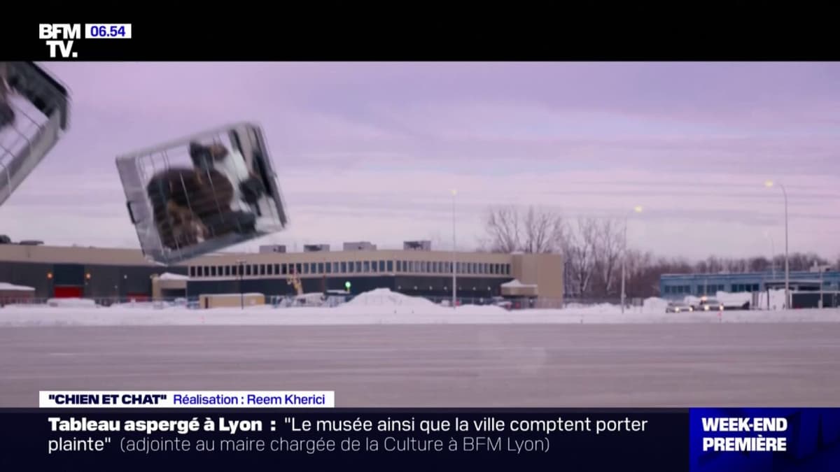 placeholder video